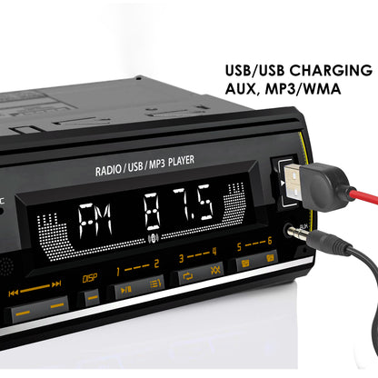 THE EDEN SERIES CAR FM STEREO AND USB PLAYER MG-FM 6